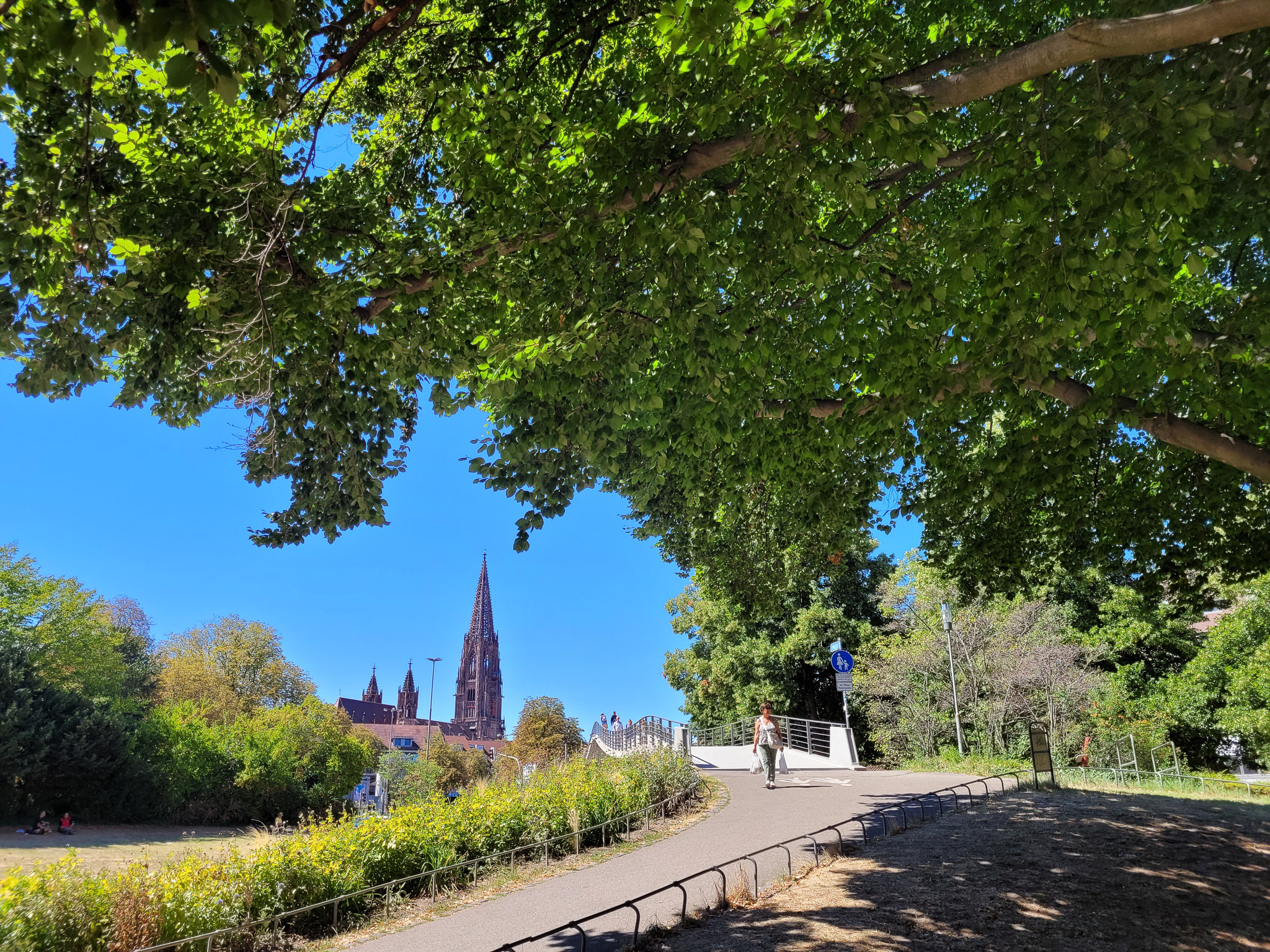 20220813123424 20220813 123423